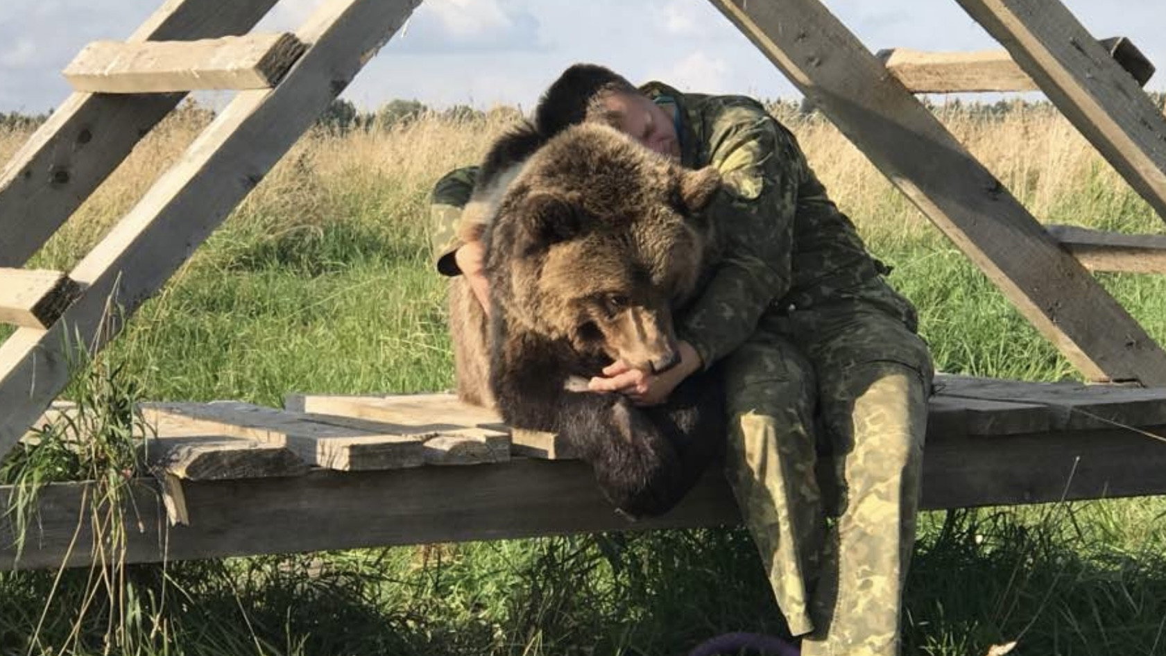 Land of Bears