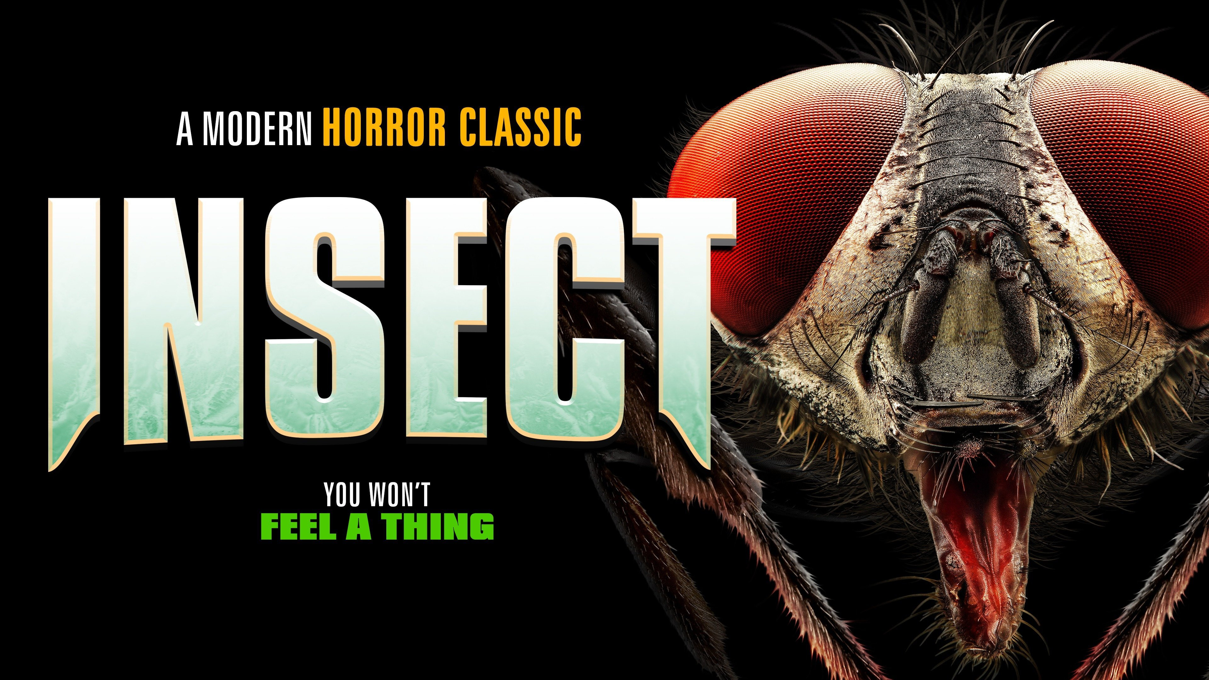 Insect
