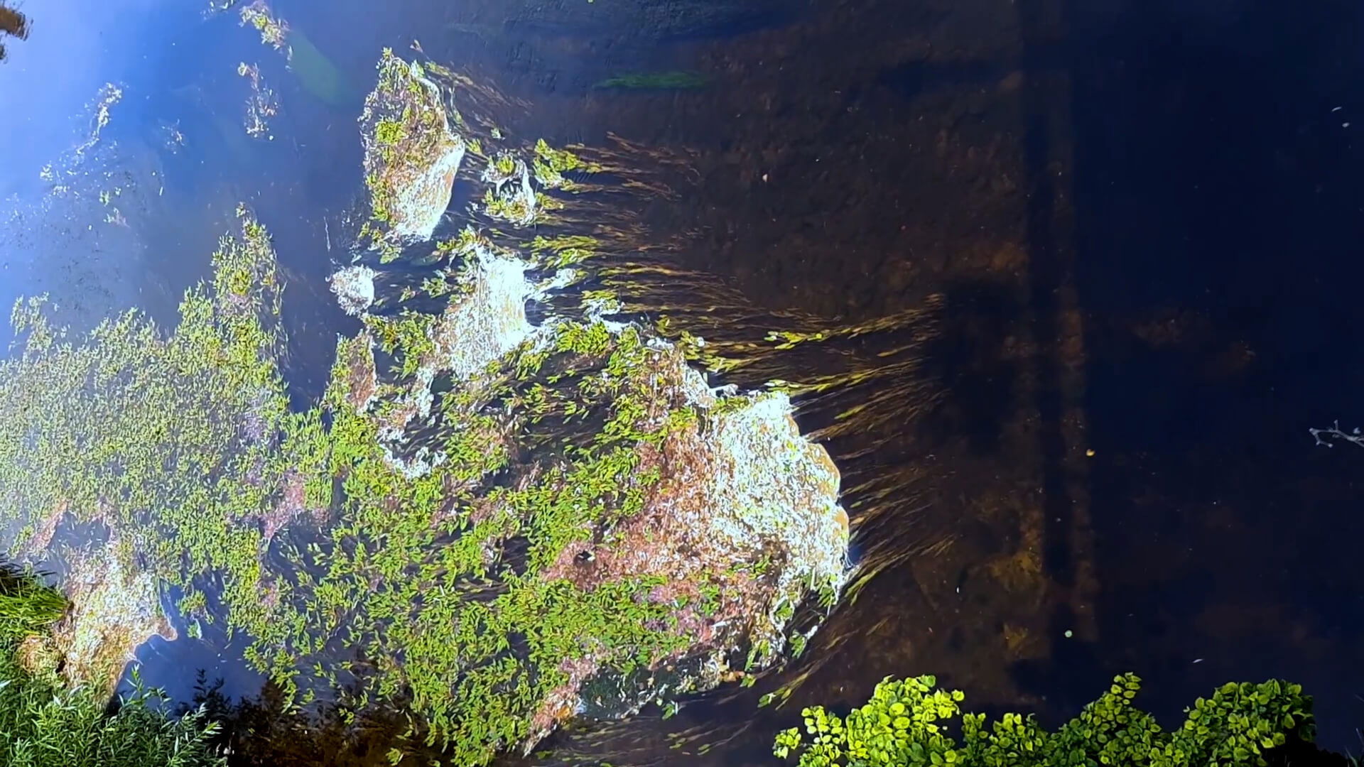 Between the valleys, between the hills. In the footsteps of the future sound of Slovakia.