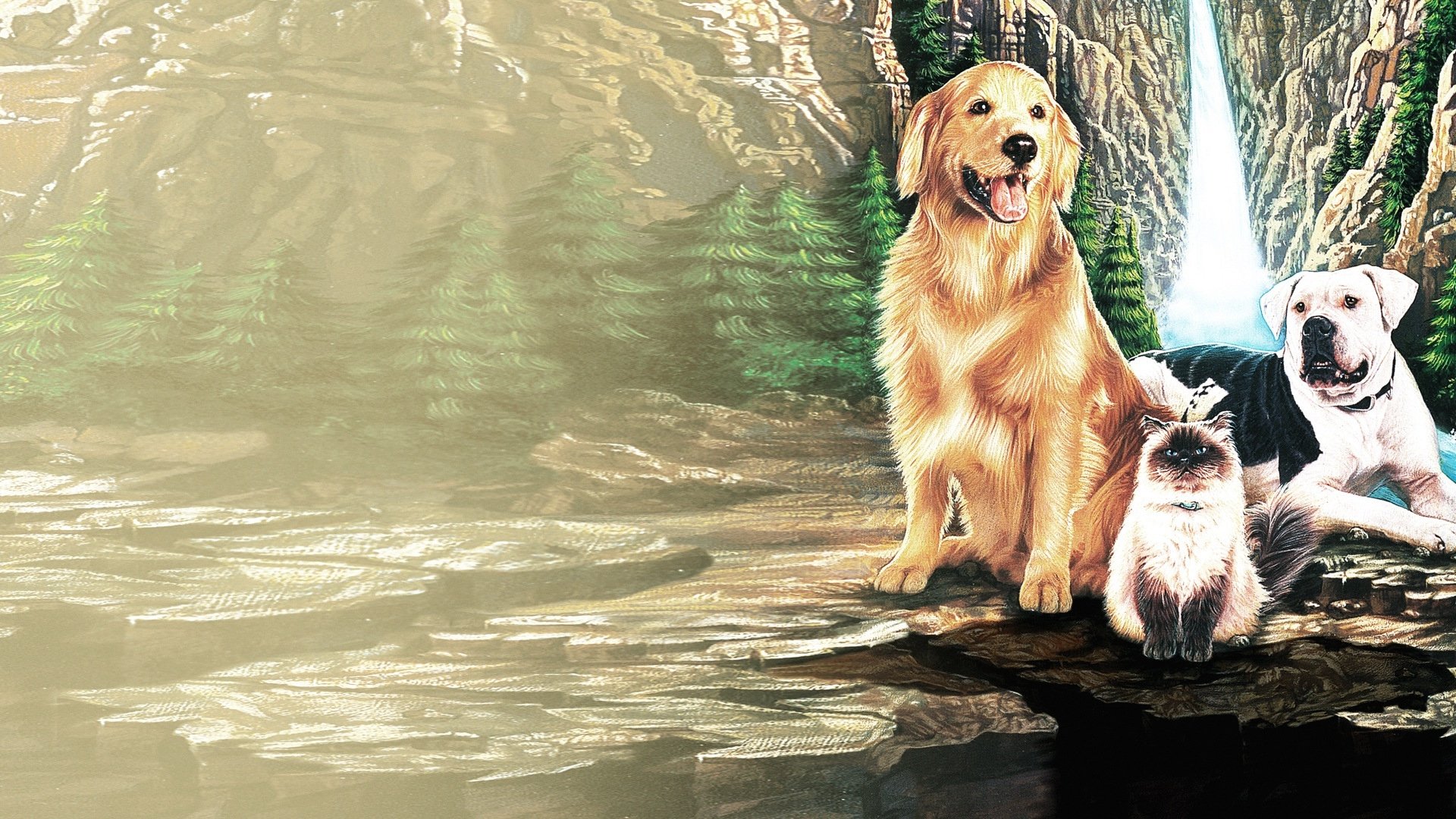 Homeward Bound Collection