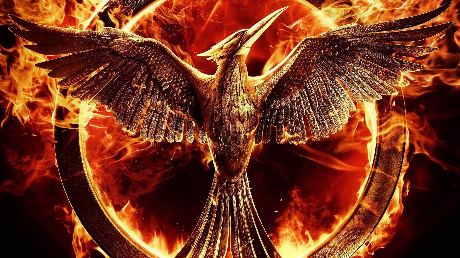 The Hunger Games Collection