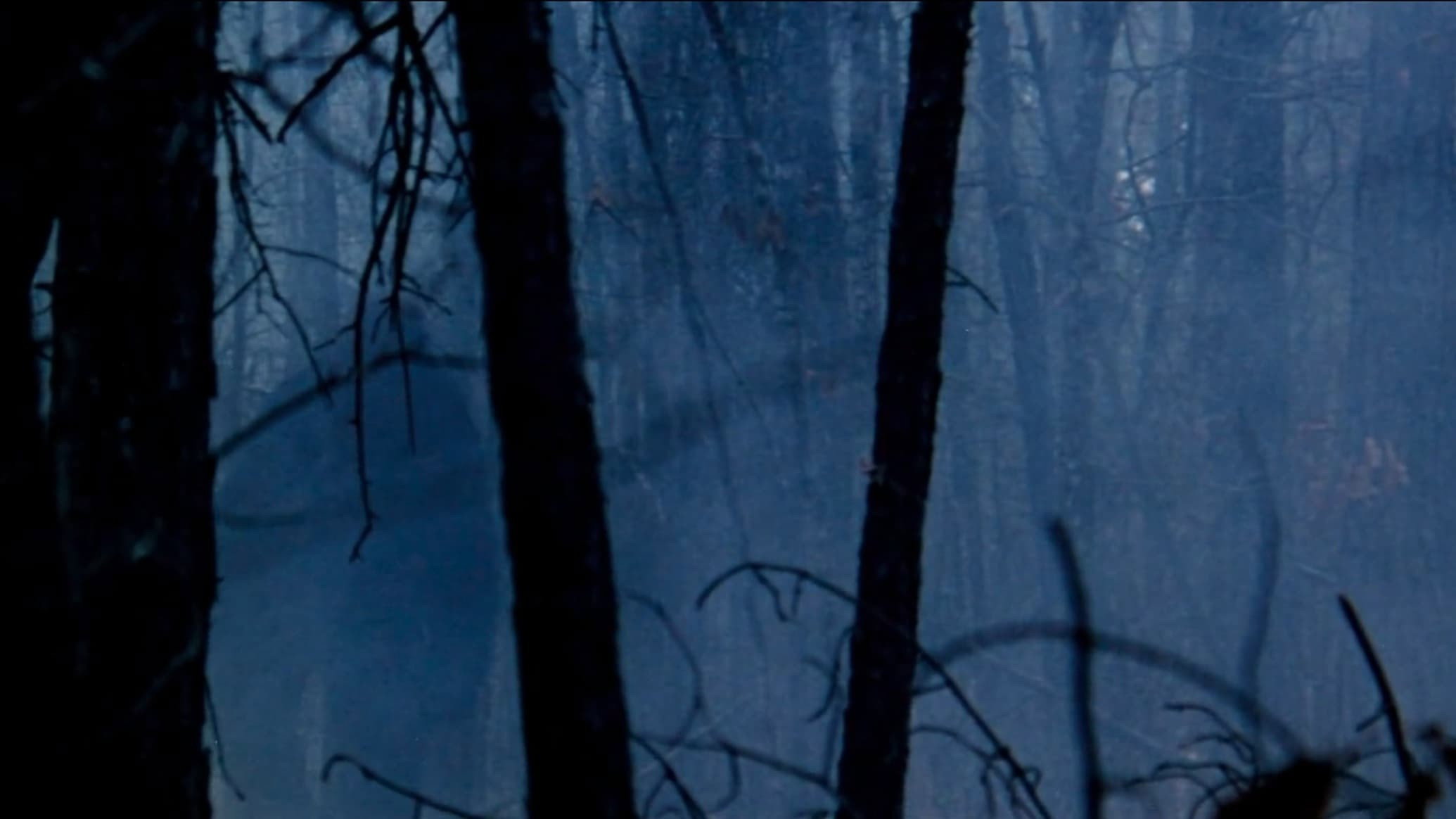 Boggy Creek Collection