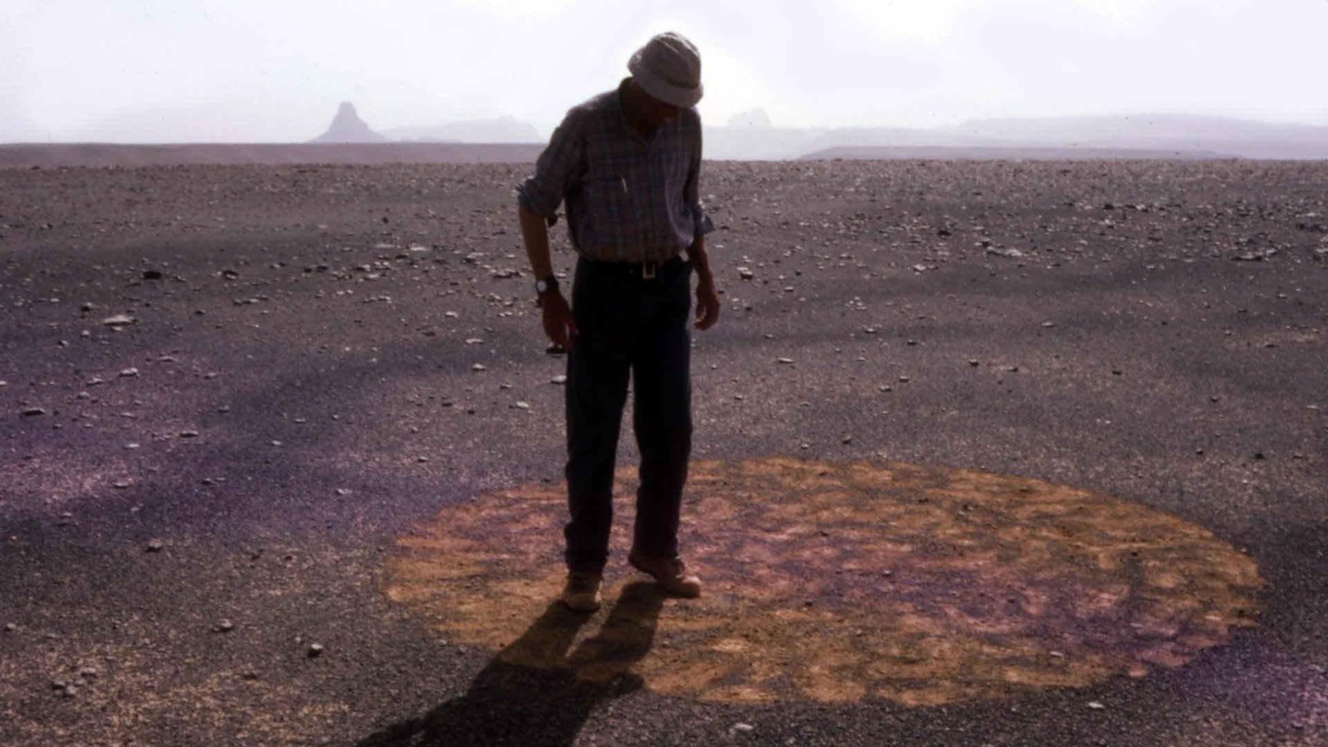Stones and Flies: Richard Long in the Sahara