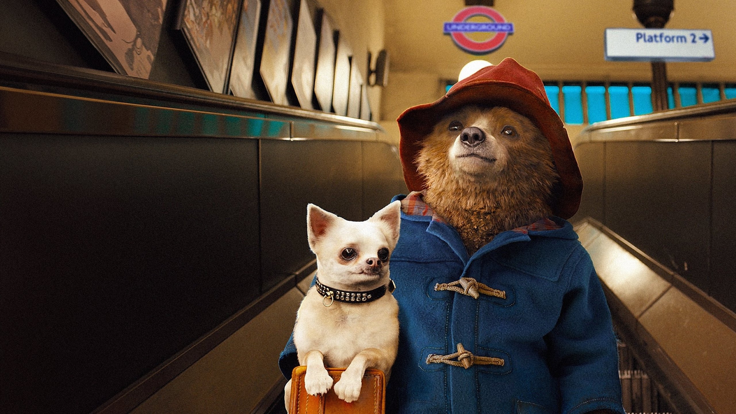 Paddington Collection