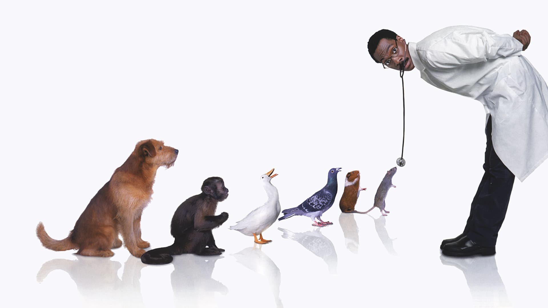 Dr. Dolittle Collection