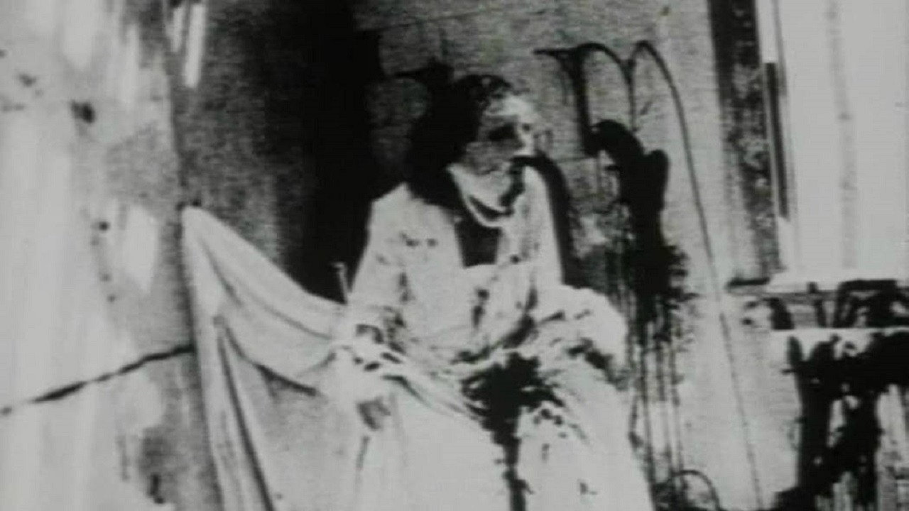 The Begotten Cycle