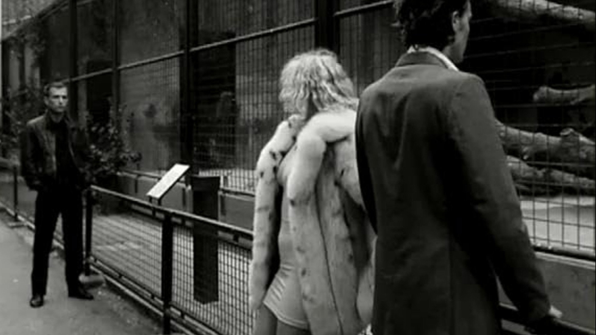 Venus in Furs