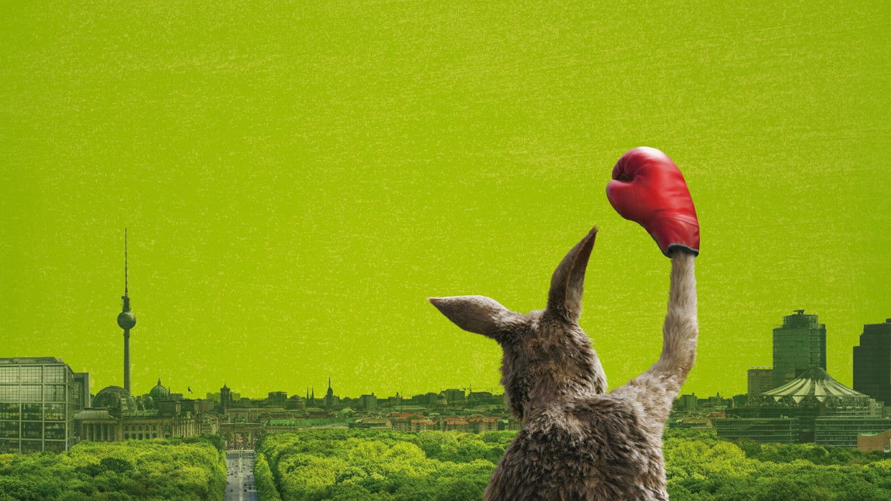 The Kangaroo Chronicles Collection