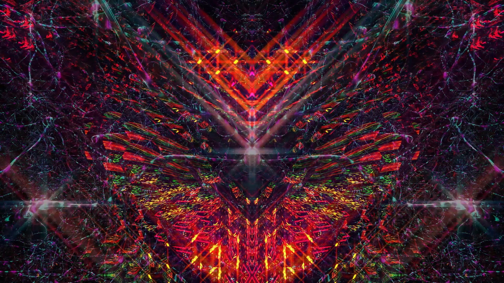 Bufo Alvarius – The Underground Secret