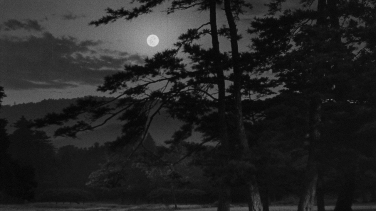 The Moon Has Risen