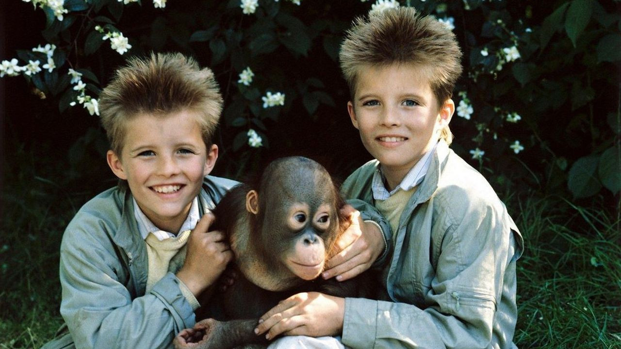 Twins at the Zoo