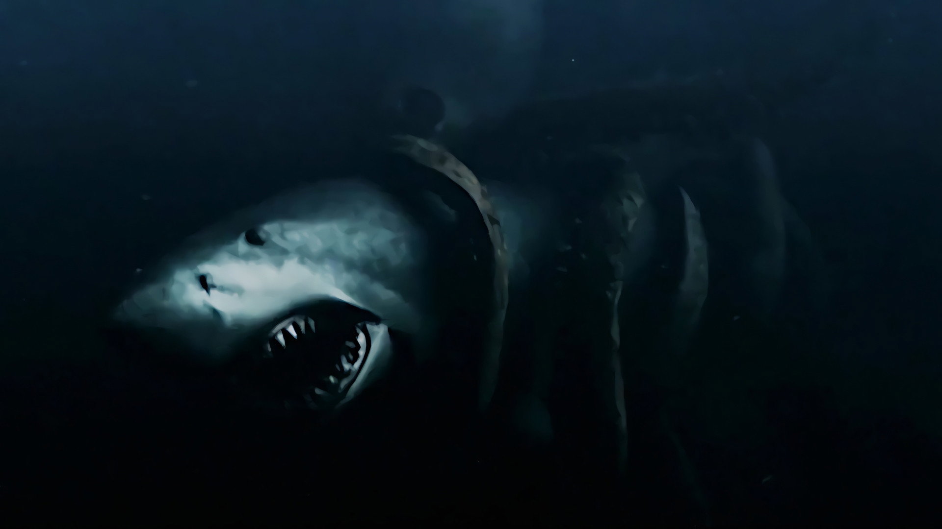 Mega Shark Collection