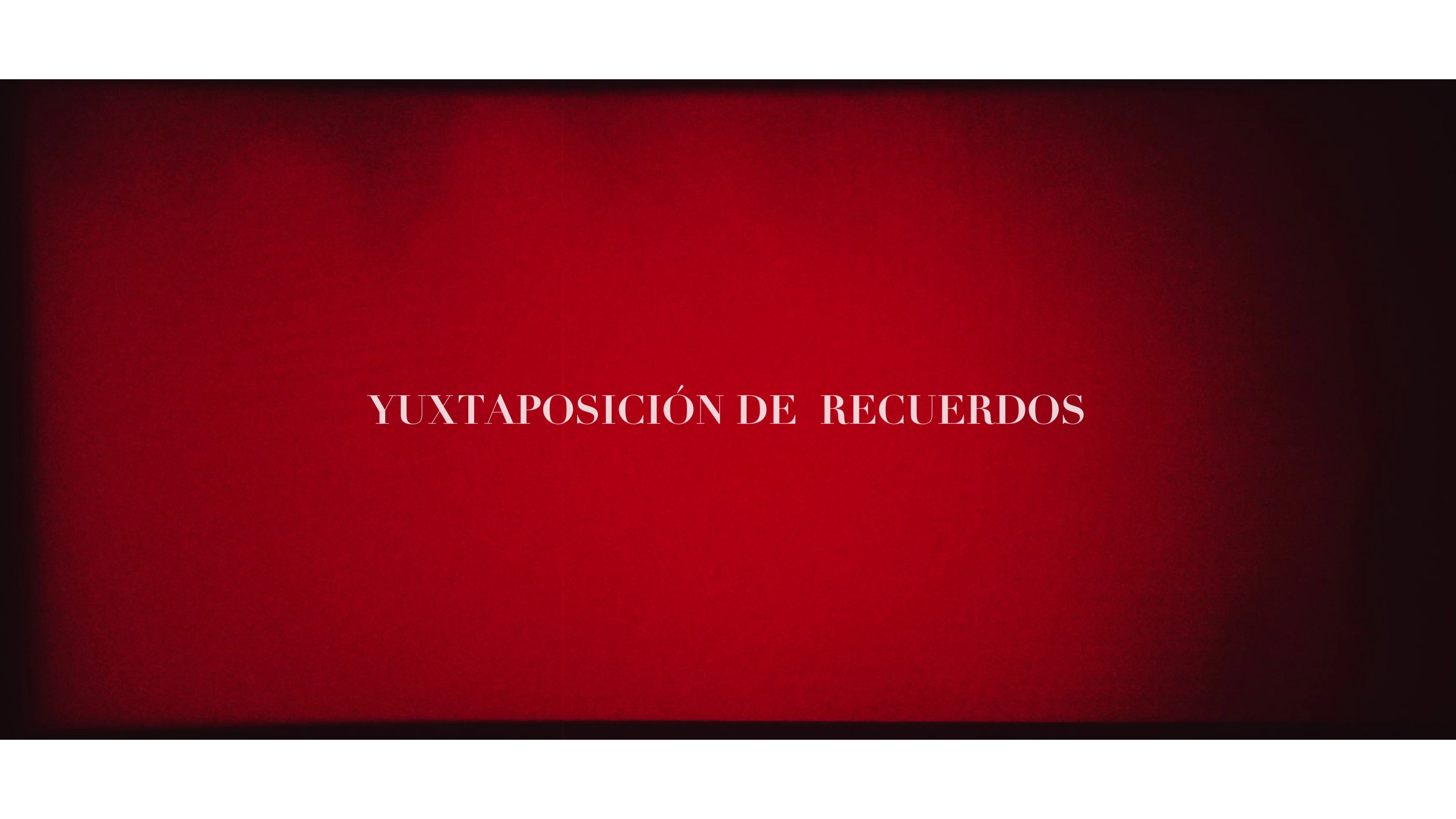 Yuxtaposición de recuerdos