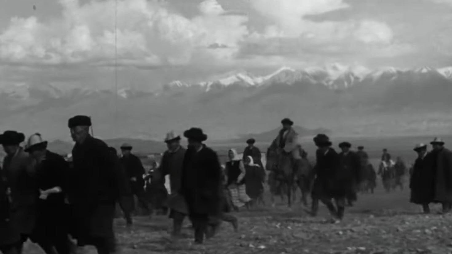 Mother's Field