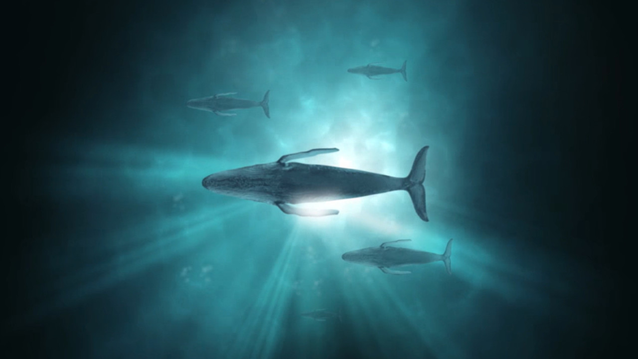 Sonic Sea
