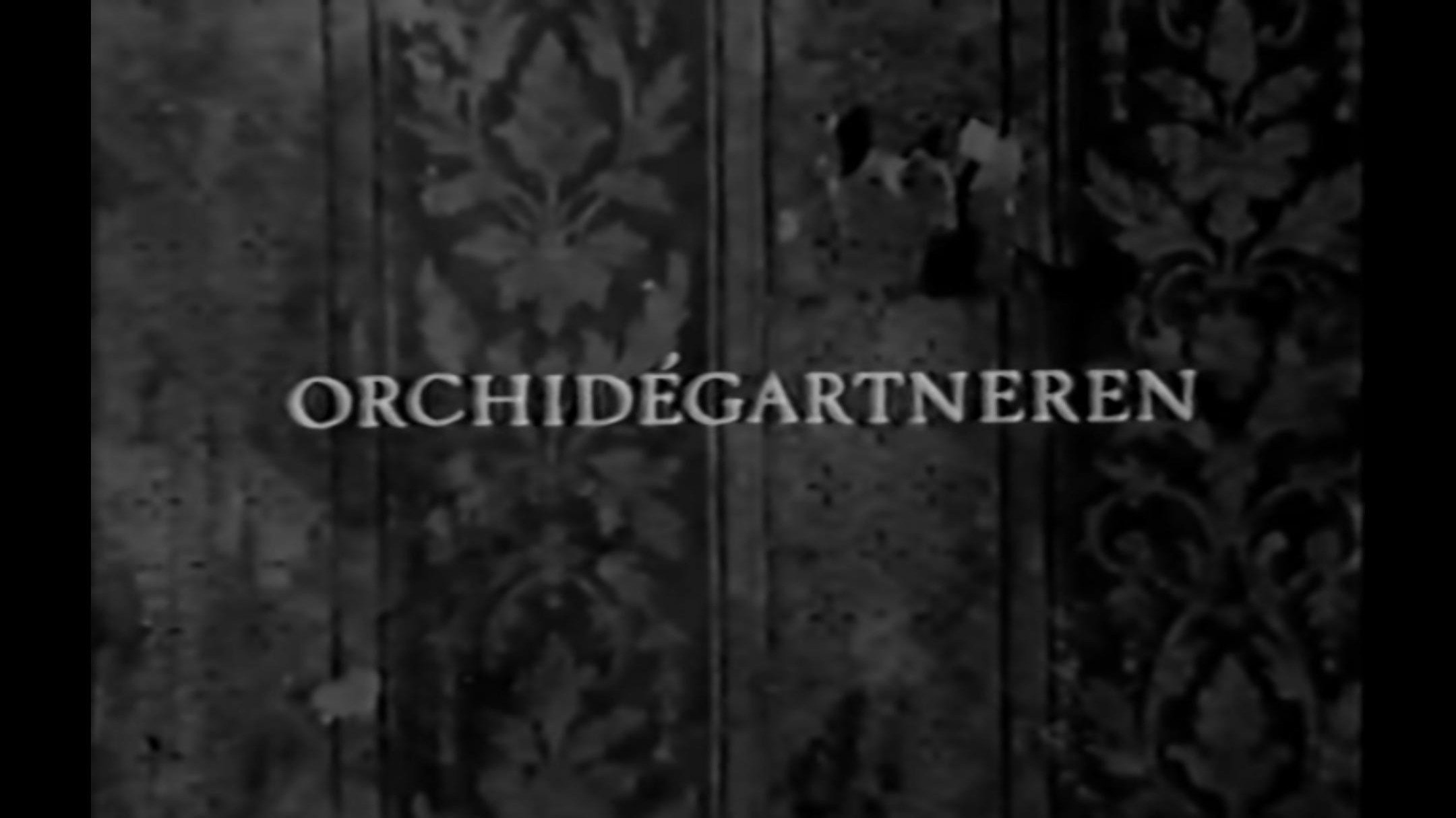 The Orchid Gardener