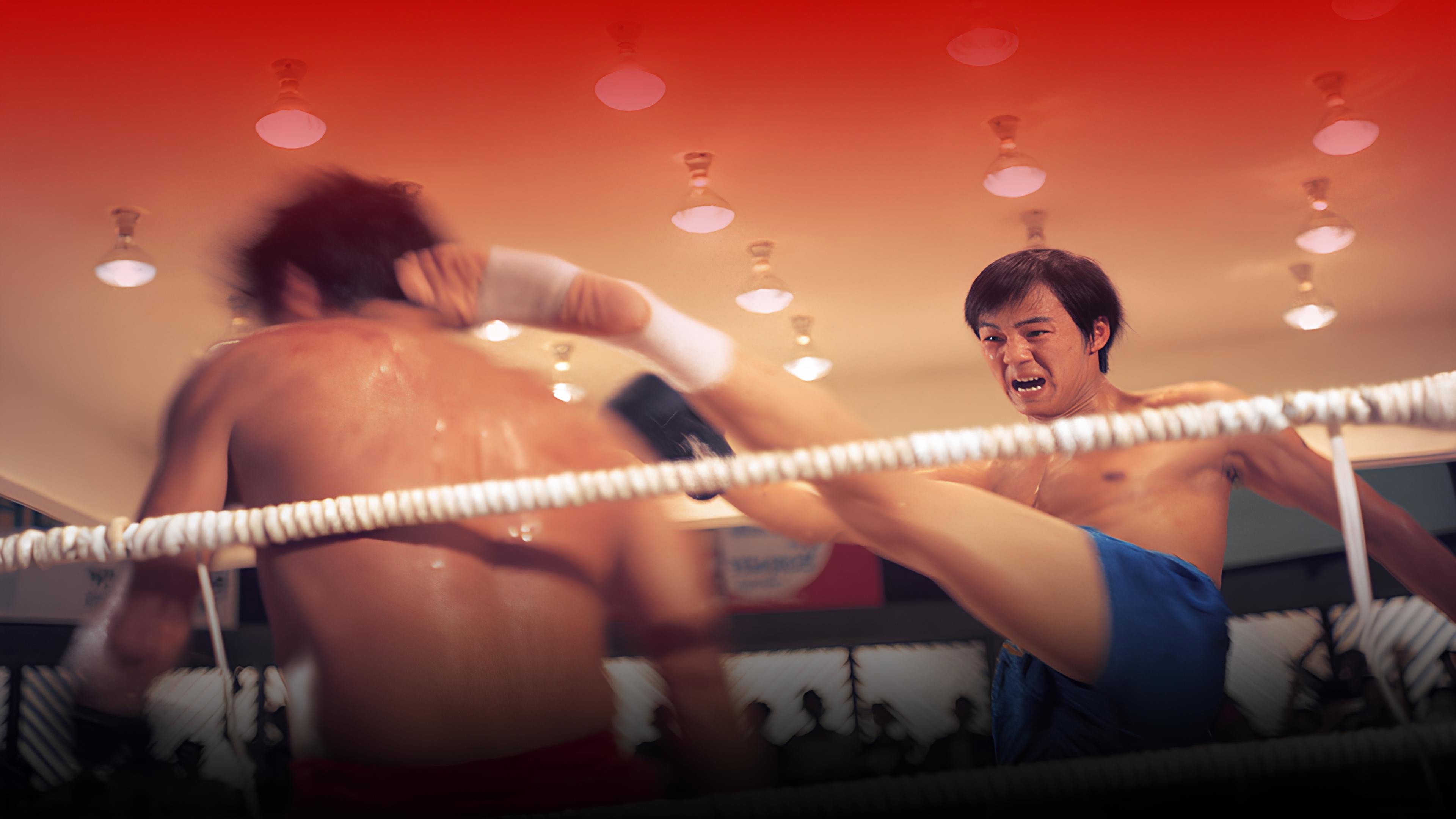Duel of Fists