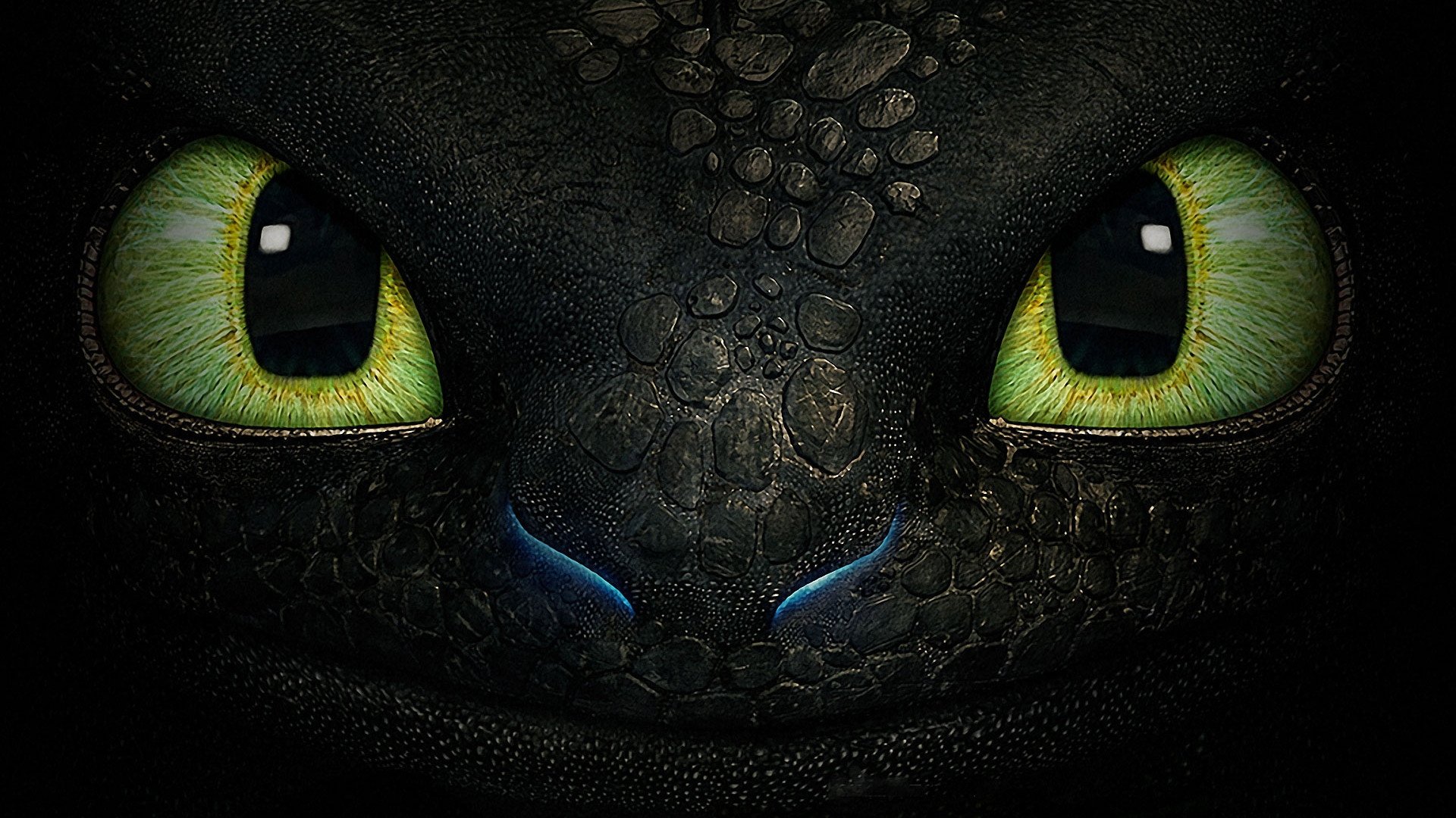 How to Train Your Dragon Collection