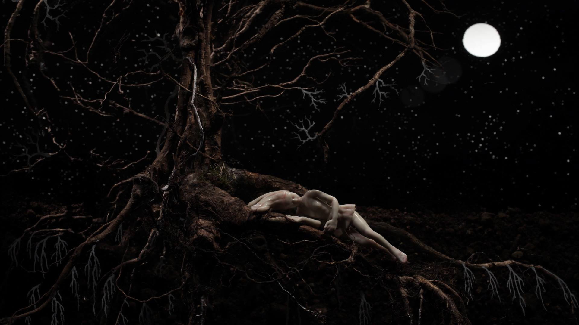 Roots