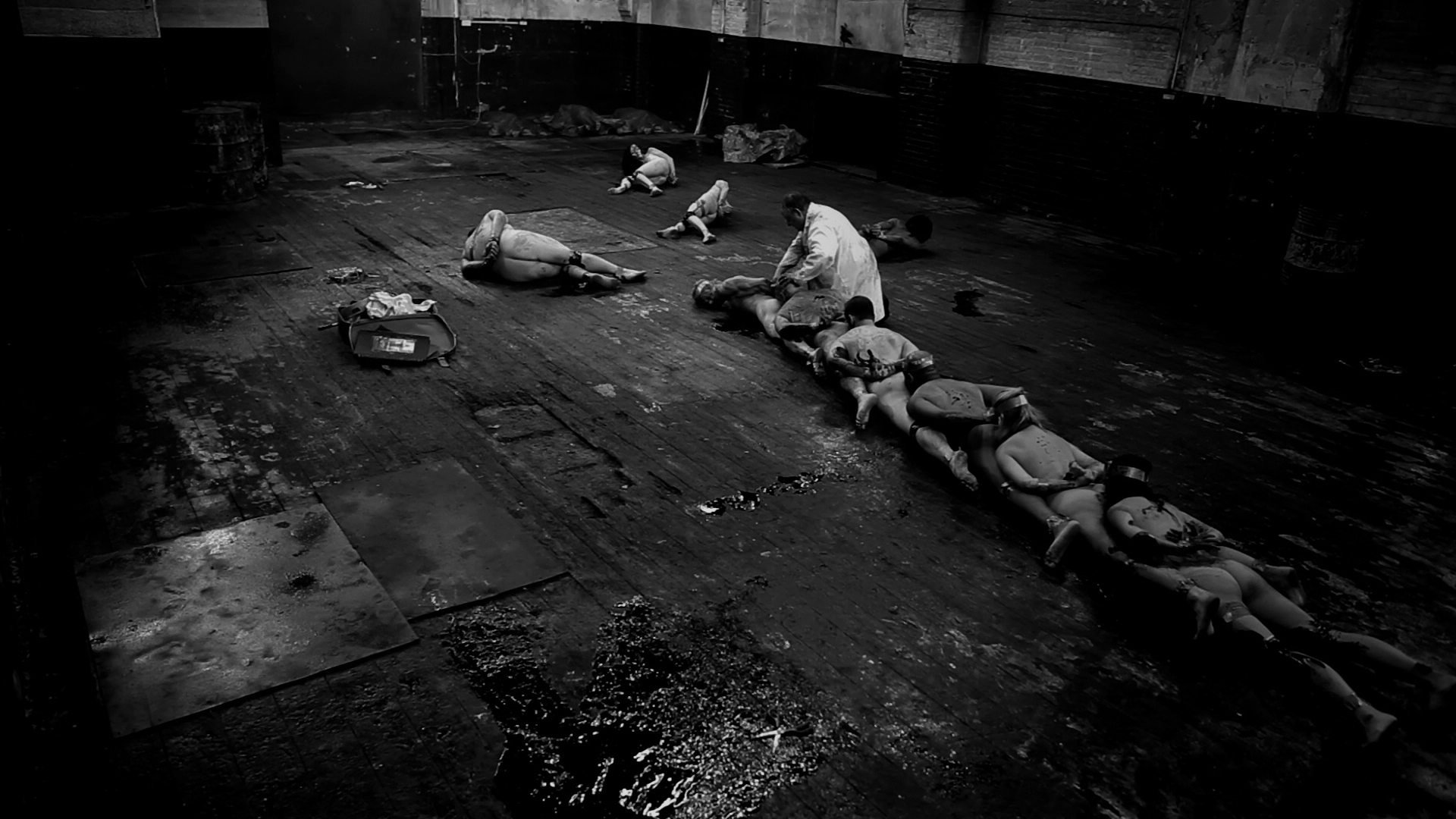 The Human Centipede Collection