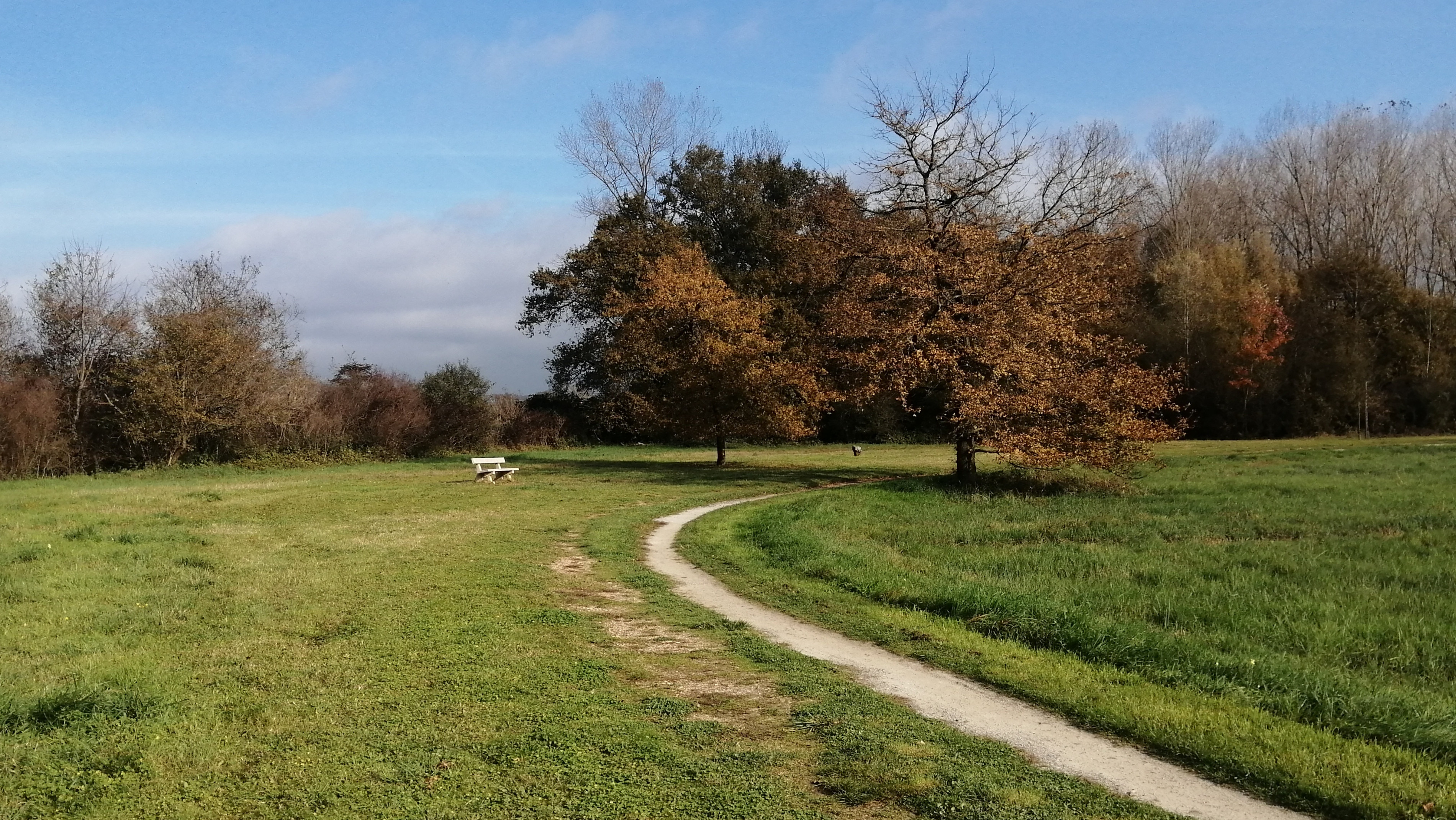 Running Fields II
