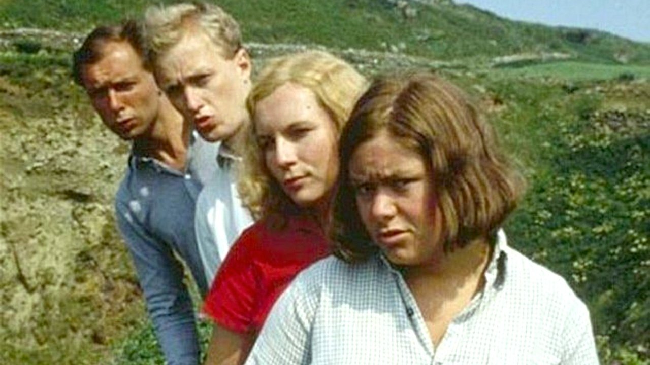 Five Go Mad in Dorset