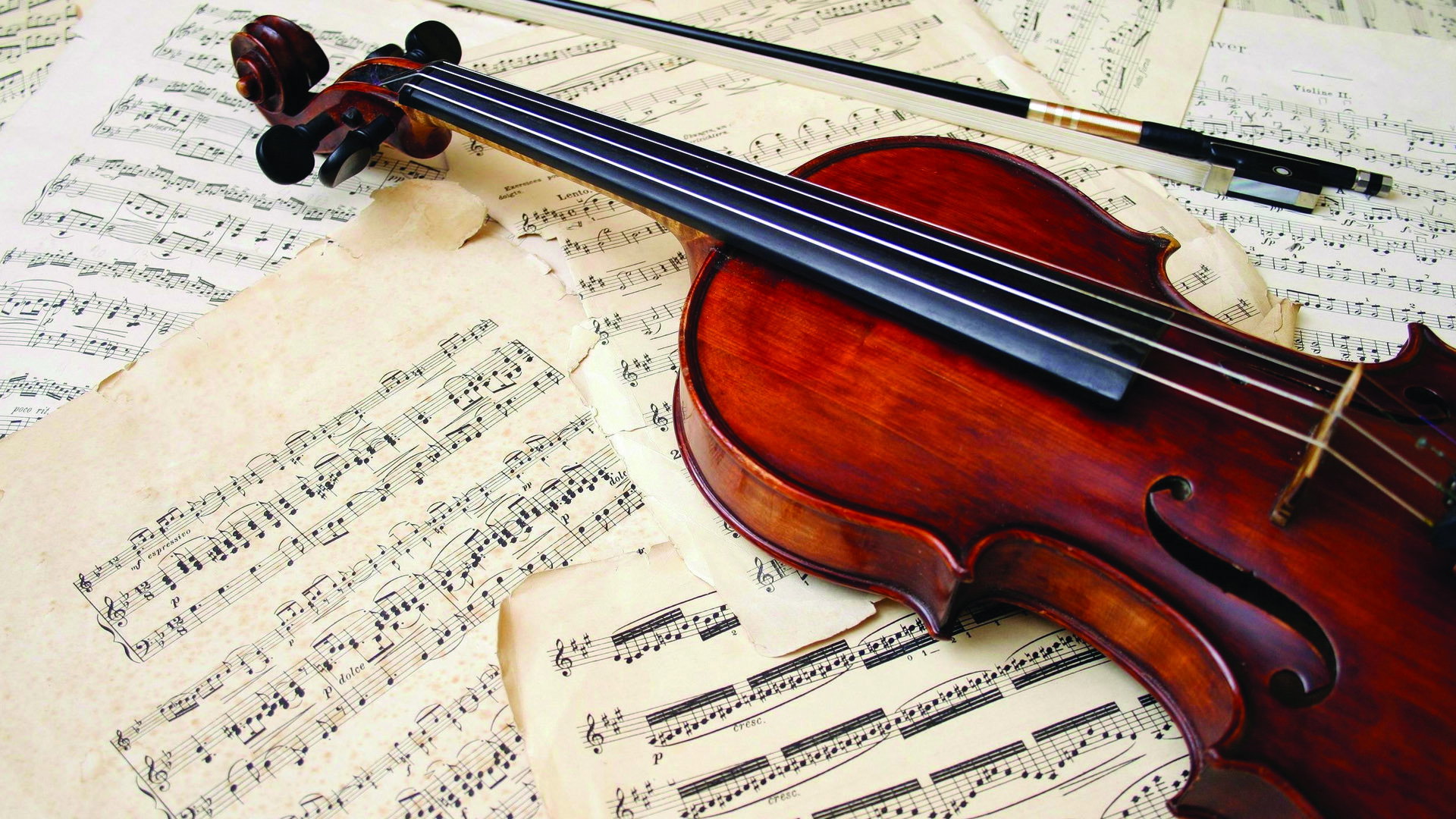 The Art of Violin