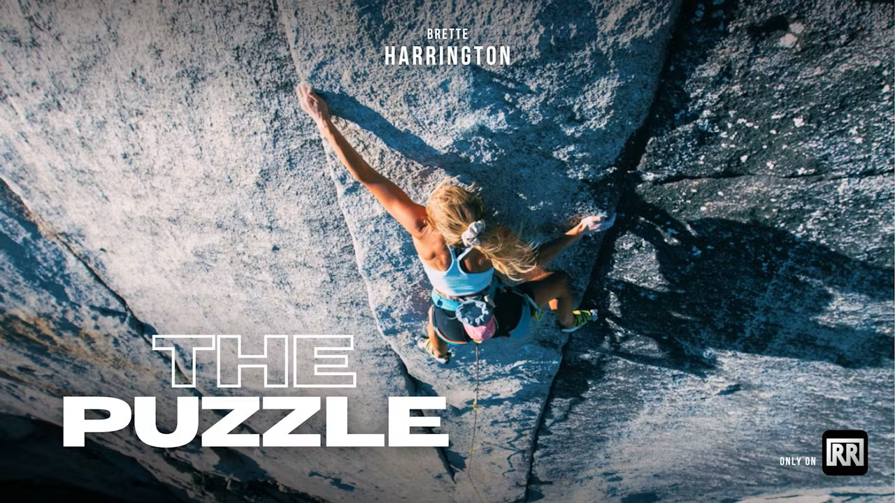 The Puzzle
