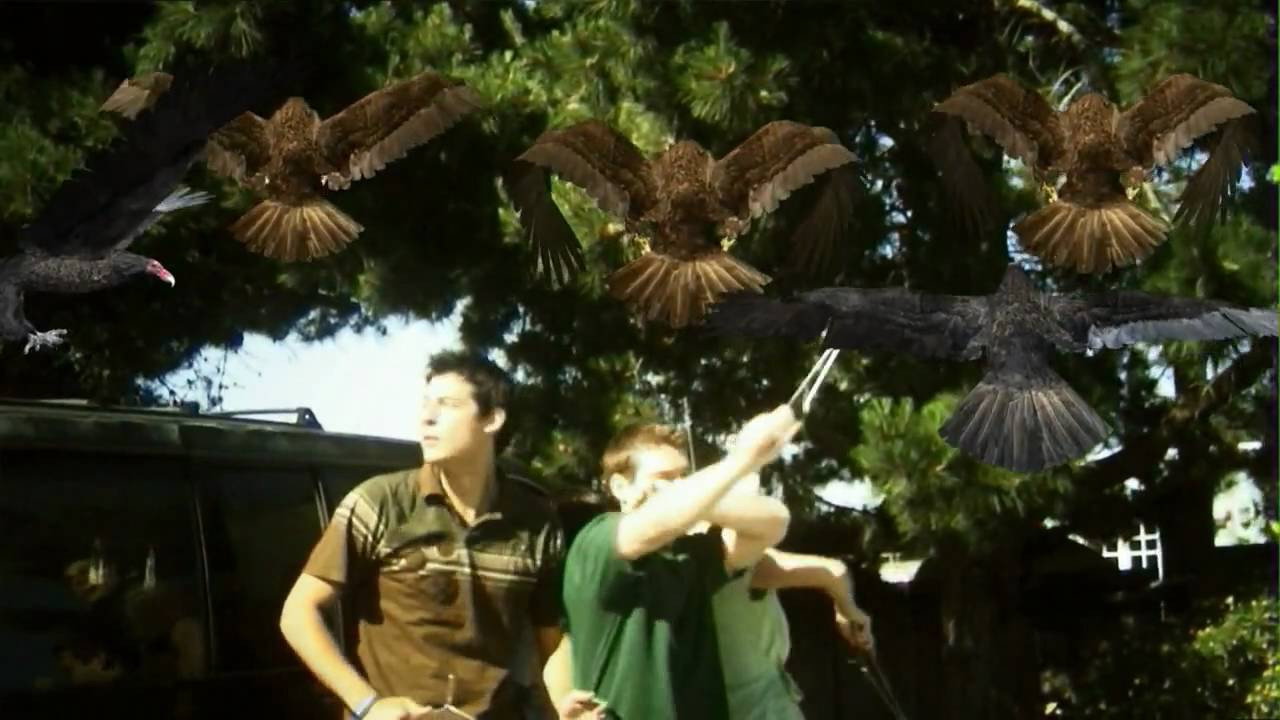 Birdemic Collection