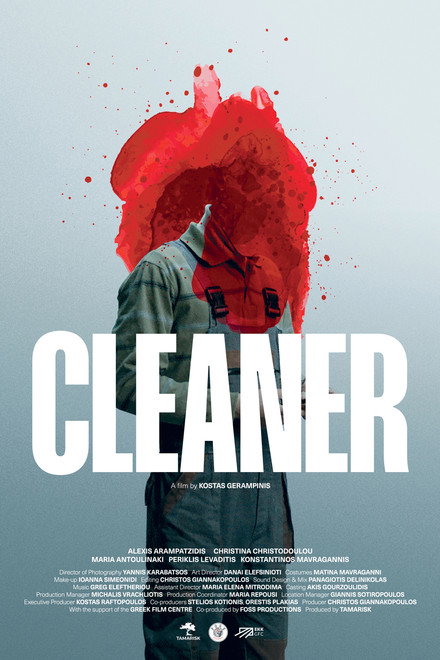 Cleaner
