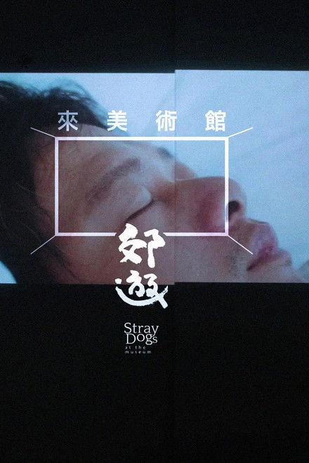 Stray Dogs at the Museum