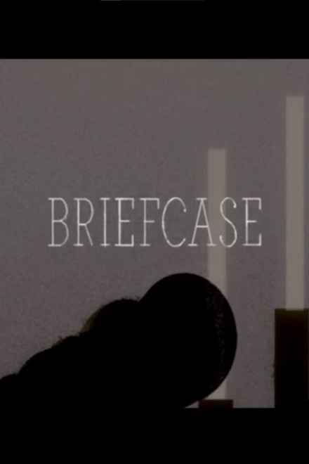 Briefcase