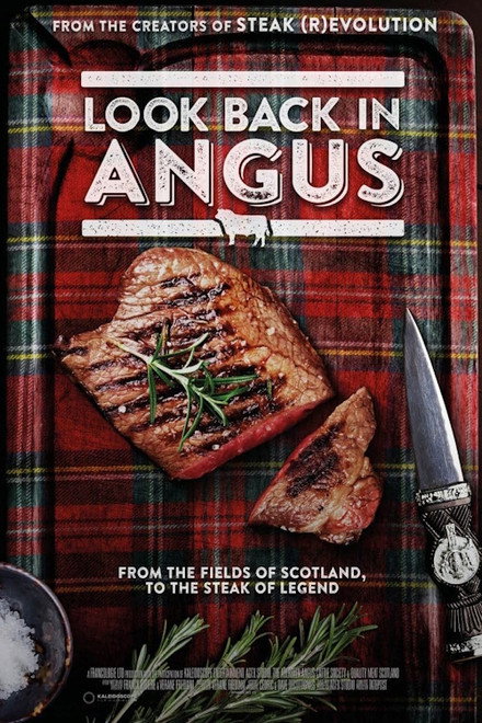 Look Back In Angus