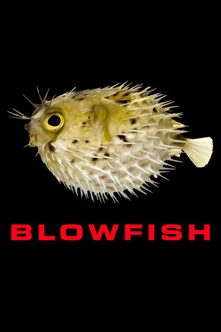 Blowfish