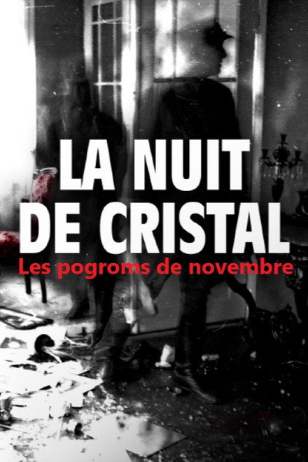 La Nuit de cristal : Les pogroms de novembre