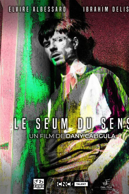 The FRUSTRATION of SENSE