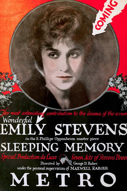 A Sleeping Memory