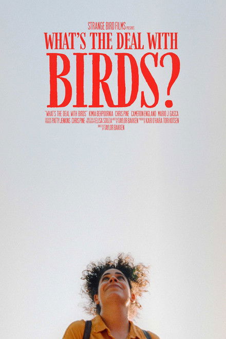 What's The Deal With Birds?