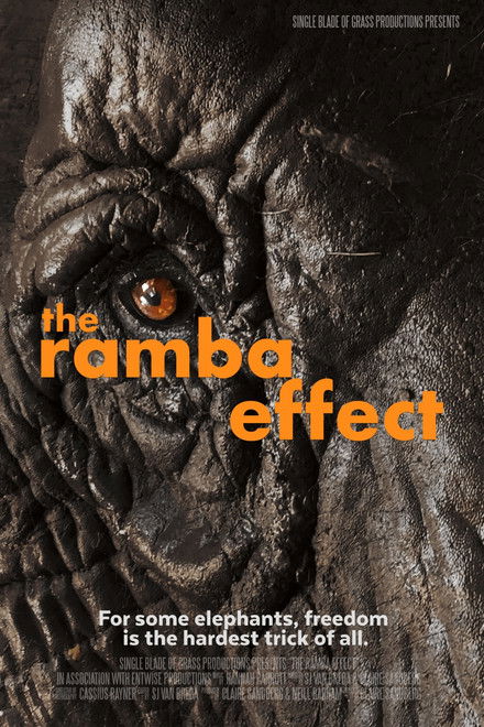 The Ramba Effect