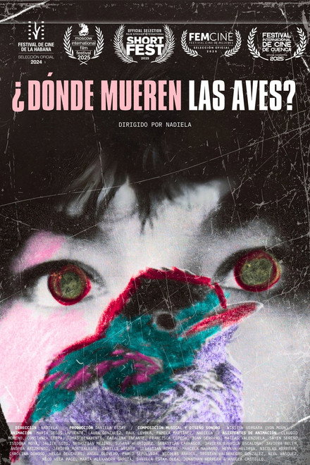Where Do Birds Die?