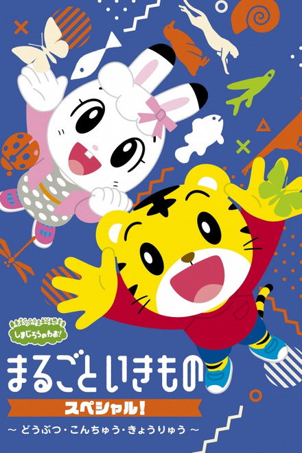 The Shimajiro Movie Collection
