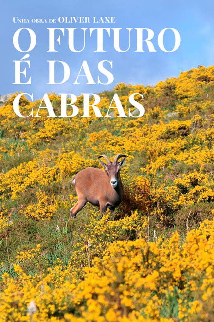 O futuro é das cabras