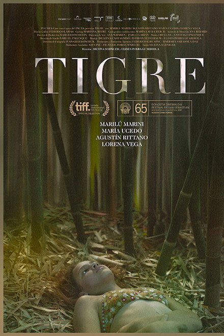 Tigre