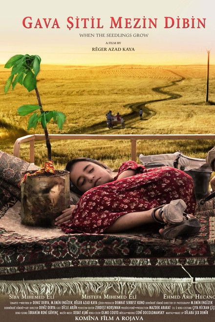 When The Seedlings Grow