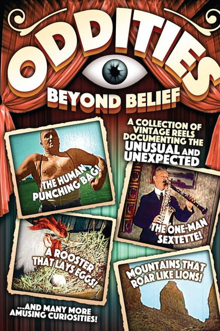 Walter Futter's Curiosities