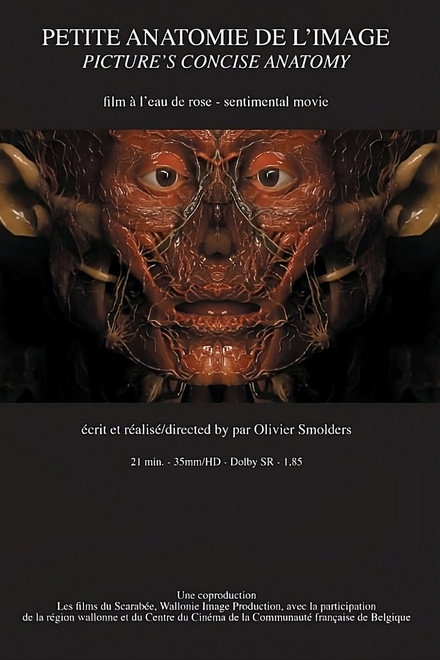 Petite anatomie de l'image