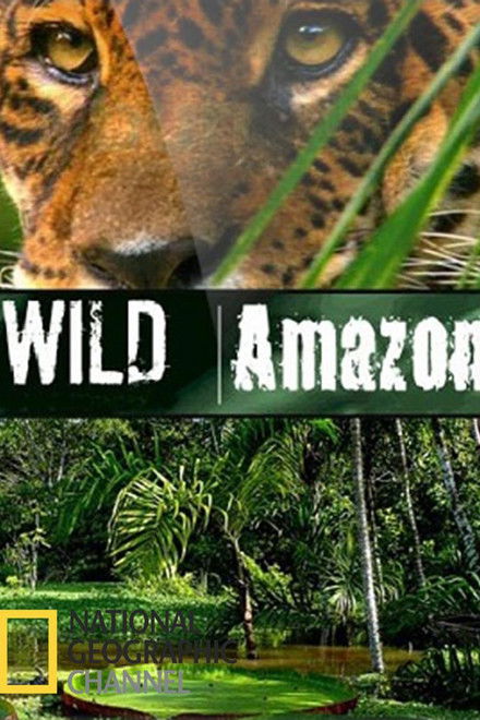 Wild Amazon