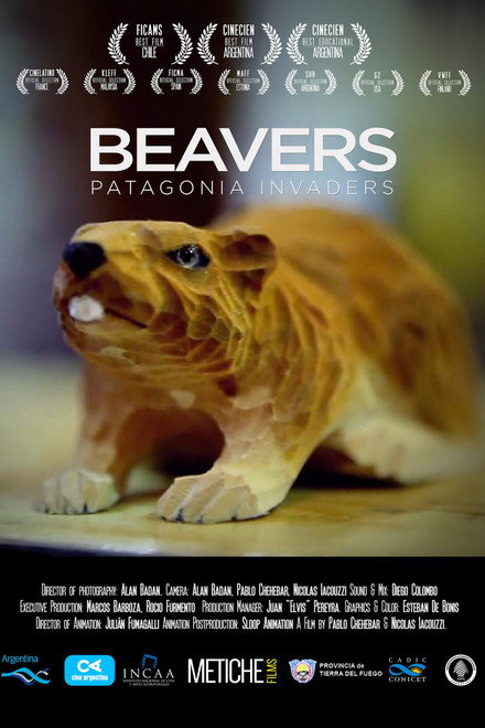 Beavers: Patagonia invaders