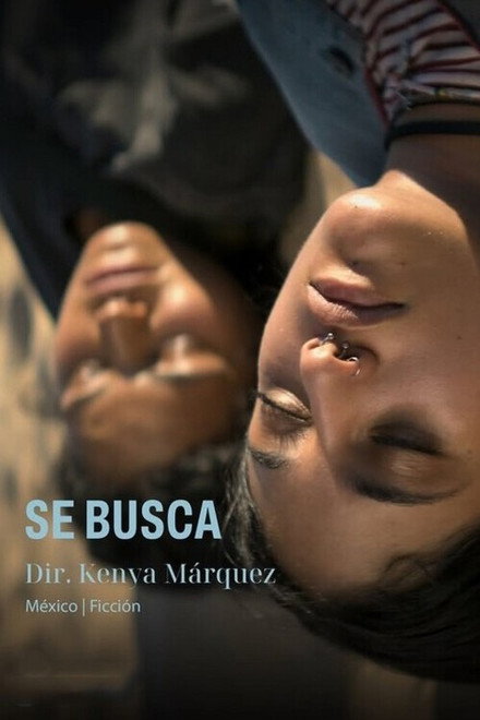 Se busca