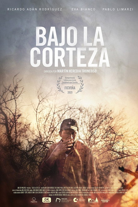 Bajo la corteza